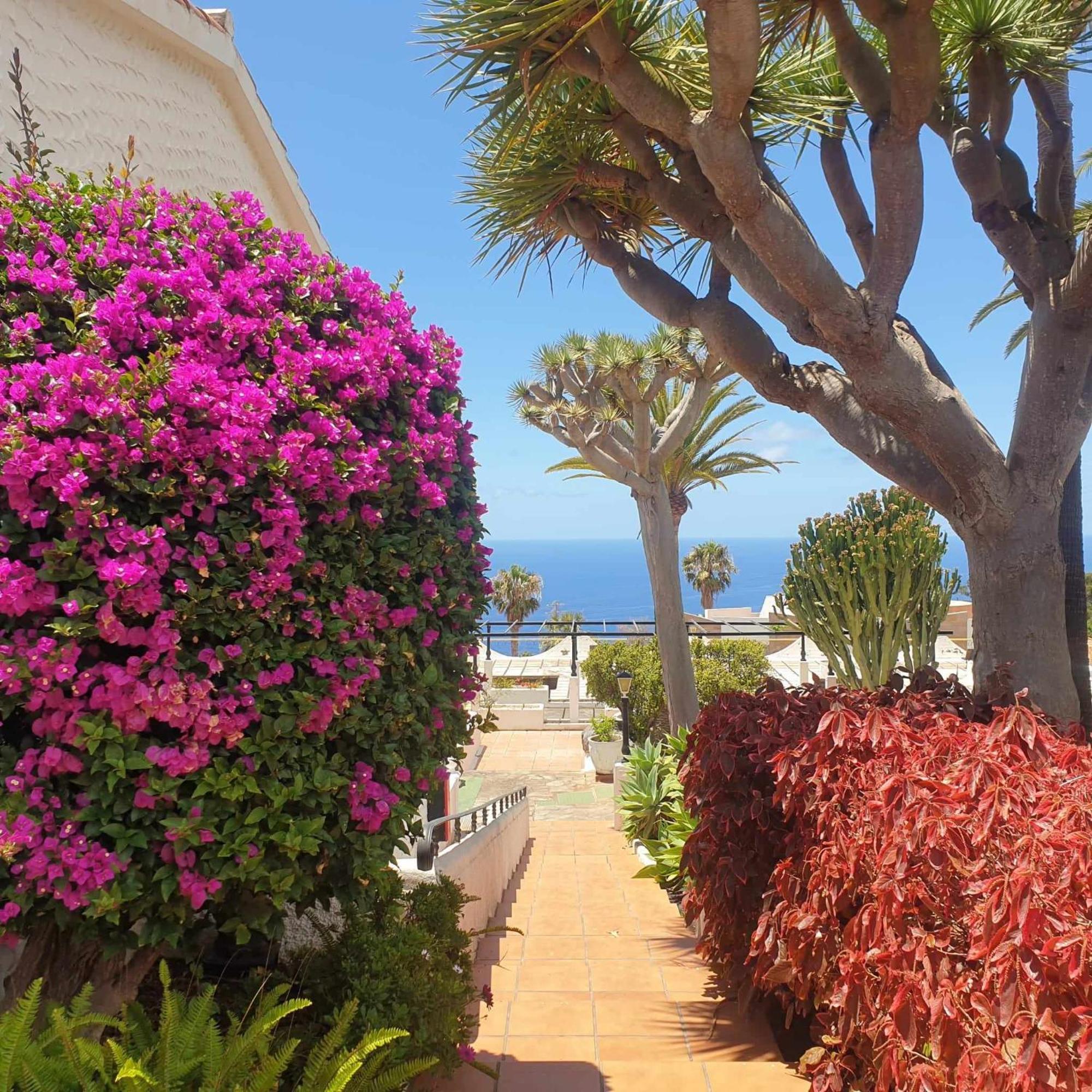 Madre Tierra Apartment Puerto de la Madera Eksteriør billede